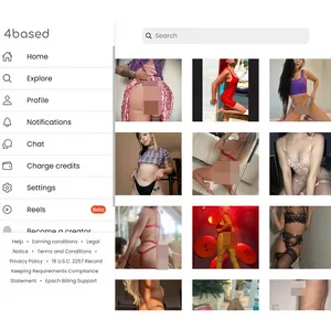 4Based 网站截图
