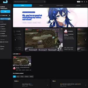 RPLAY 网站截图