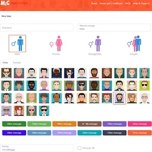 Meet In Chat 网站截图